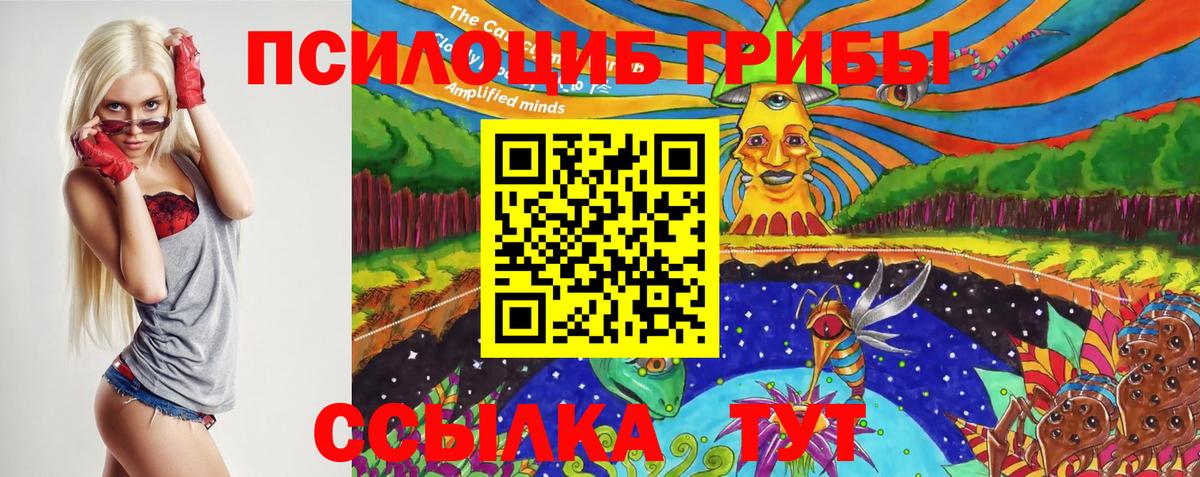 Псилоцибиновые грибы Psilocybe  купить   Галлюциногенные грибы Cubensis  Сорочинск  Вход с VPN 